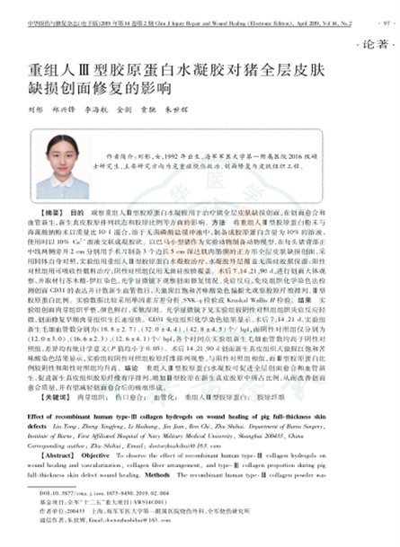 2019 动物研究，重组人Ⅲ型胶原蛋白水凝胶对猪全层皮肤缺损创面修复的影响